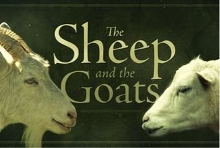 Goats