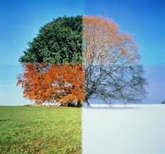 Images-34