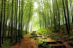 Images-12