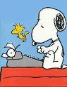 Book Writing