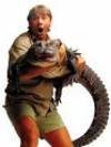 Steve_irwin
