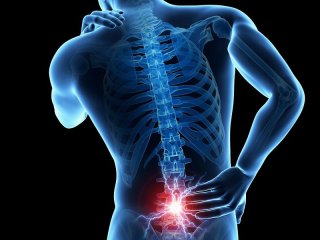 Lower-Back-Pain