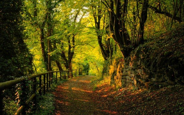 Walking-path-scaled1000-e1375847010584 Walking-path-scaled1000-e1375847010584