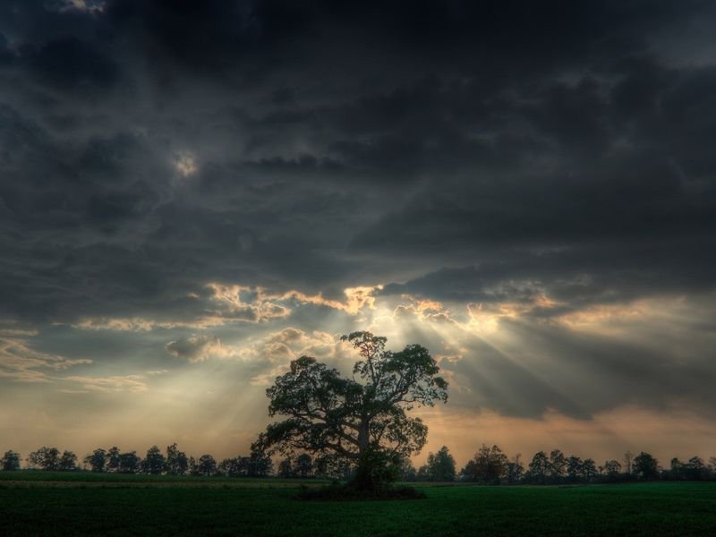 Cloudy-day Cloudy-day