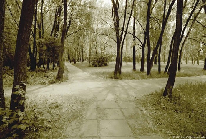 Crossroads