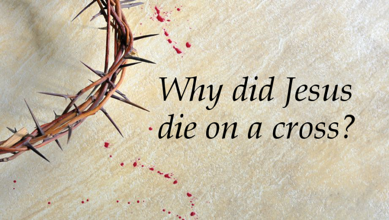 Crown-thorns-blood Crown-thorns-blood