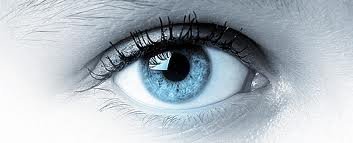 Vision
