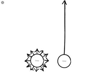 Essentialist