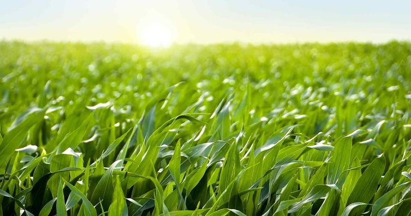 Location_farming2025 Location_farming2025