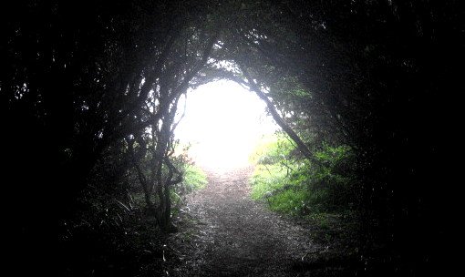 Step-into-the-light Step-into-the-light