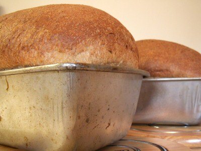 Bread Bread