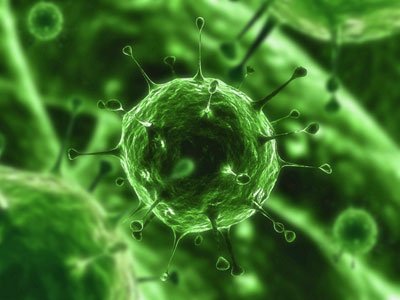 Virus Virus