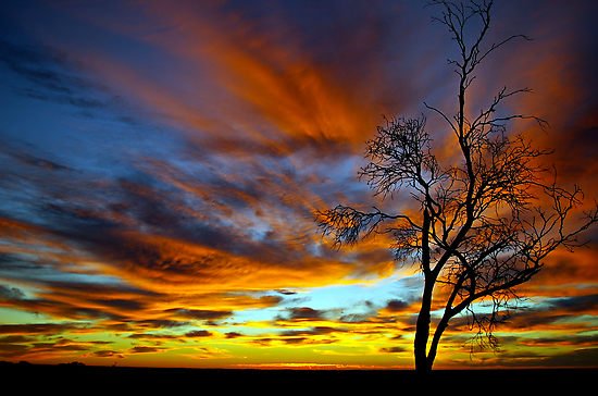 Australian-sunrise Australian-sunrise