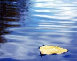 Waters